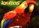 Iquitos Info